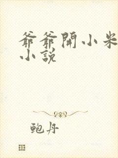 爷爷开小米的包小说