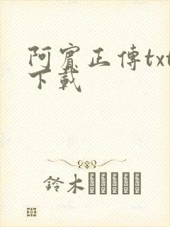 阿宾正传txt下载