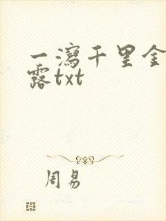 一泻千里金银花露txt