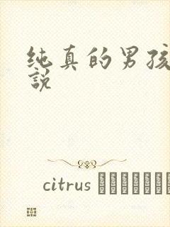 纯真的男孩子小说