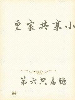 皇家共享小公主