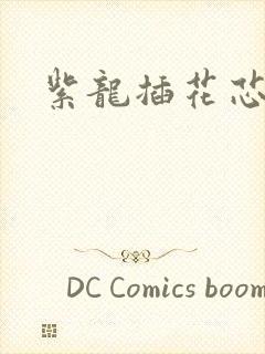 紫龙插花芯方正