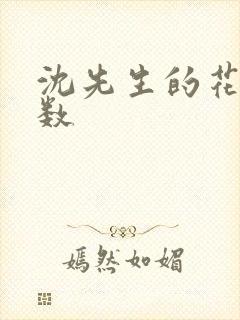 沈先生的花式调数