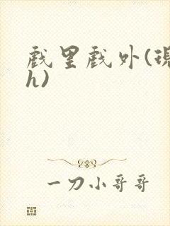 戏里戏外(现场h)