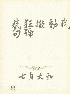 疯狂拨动我的小句号