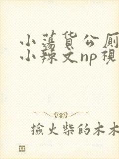 小荡货公厕h文小辣文np视频