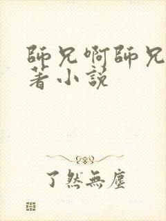 师兄啊师兄的原著小说