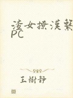 渣女撩汉系统NPC