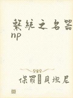 系统之名器攻略np