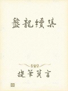 盘龙续集