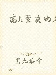 高h荤爽肉欲文