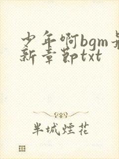 少年啊bgm最新章节txt