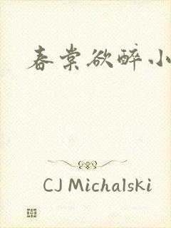 春棠欲醉小说