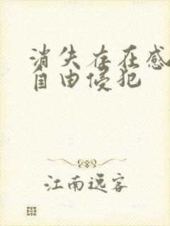 消失存在感消失自由侵犯