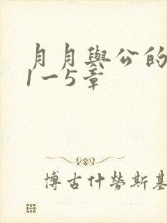 月月与公的激情1一5章