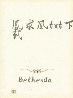 凤求凰txt下载