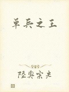 单兵之王