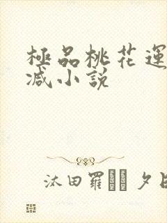 极品桃花运未删减小说