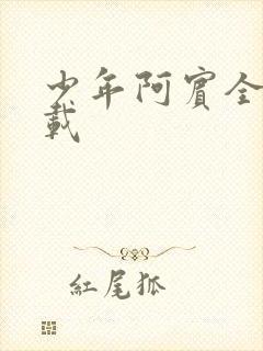 少年阿宾全集下载