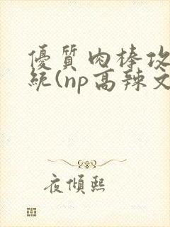 优质肉棒攻略系统(np高辣文)