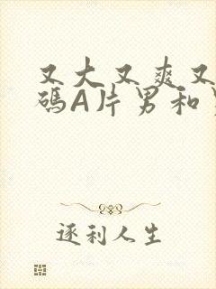 又大又爽又黄无码A片男和男封面