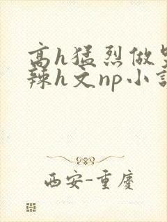 高h猛烈做哭高辣h文np小说