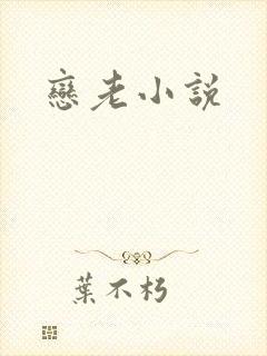 恋老小说