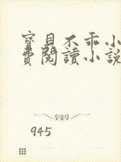 宝贝不乖小说免费阅读小说