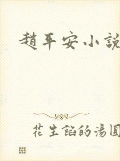 赵平安小说主角