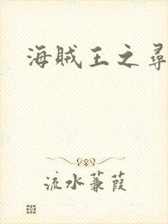 海贼王之寻亲记