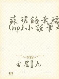 苏玥的幸福生活(np)小说笔趣阁