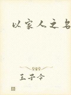 以家人之名小说