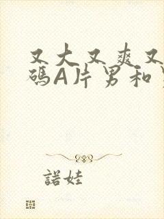 又大又爽又黄无码A片男和男