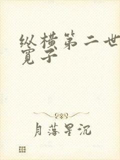 纵横第二世界 宽子
