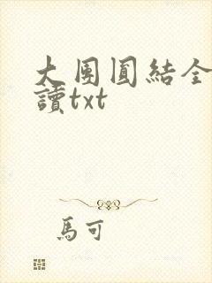 大团圆结全文阅读txt