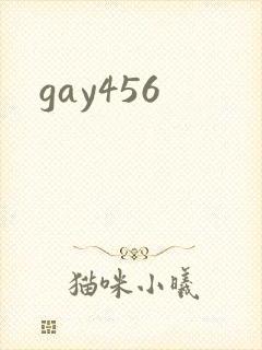gay456