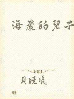 海岩的儿子