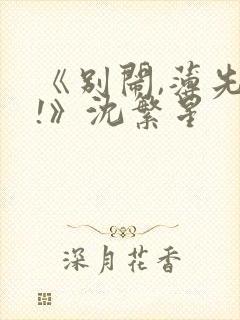 《别闹,薄先生!》沈繁星