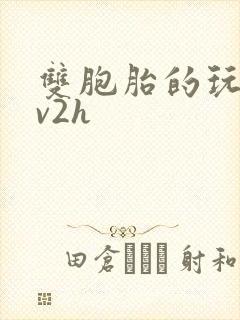 双胞胎的玩具1v2h