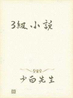 3级小说