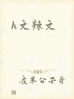 h文辣文