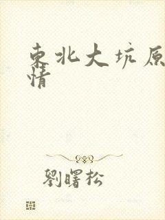东北大坑原始激情