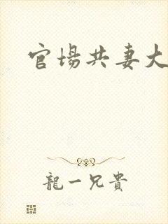 官场共妻大交换