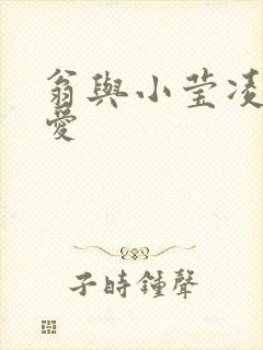 翁与小莹凌晨欢爱