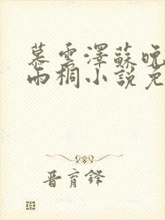 慕云泽苏晚晴夏雨桐小说免费阅读