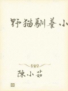 野猫驯养小说