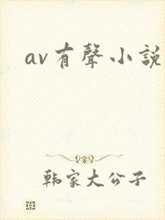 av有声小说