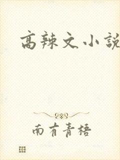 高辣文小说