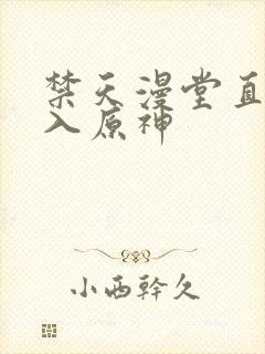 禁天漫堂直接进入原神