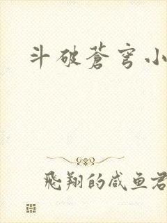 斗破苍穹小说